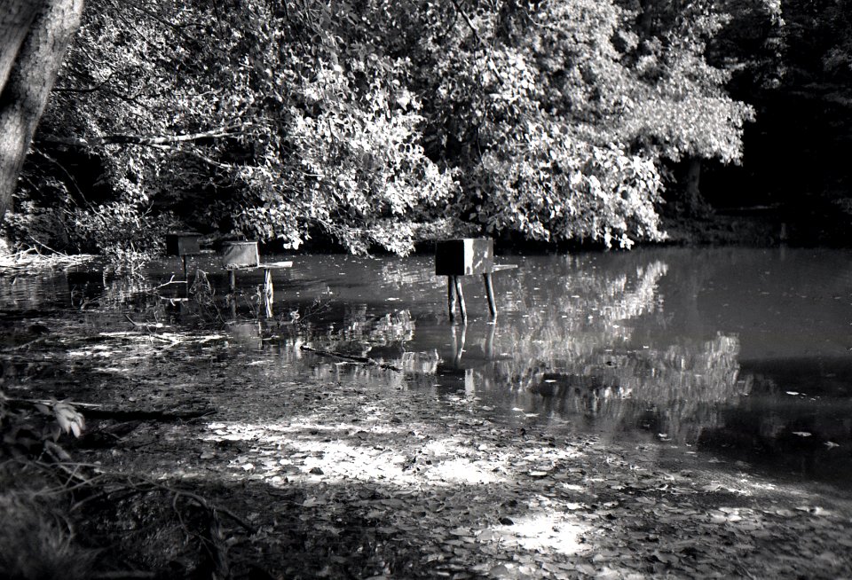Minolta Hi-Matic G - Marian Valley 01