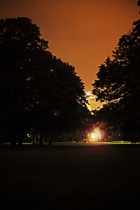 Dark outdoors tree