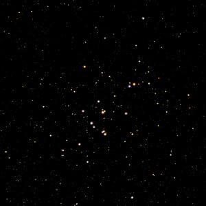 M44 - Beehive Cluster photo