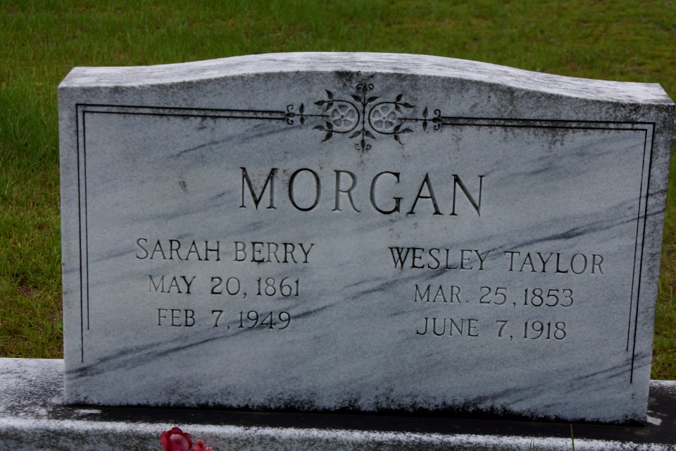 Ryall Cemetery - Clyo, GA