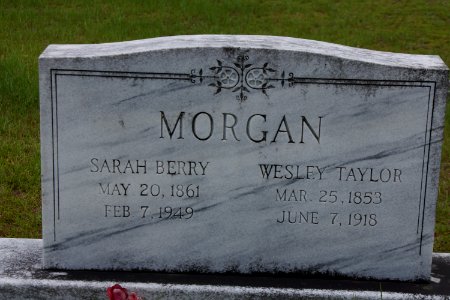 Ryall Cemetery - Clyo, GA