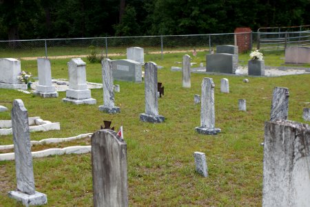 Ryall Cemetery - Clyo, GA