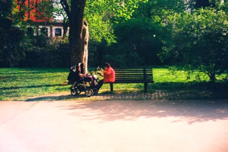 Vilia-Auto - Park Scene 04