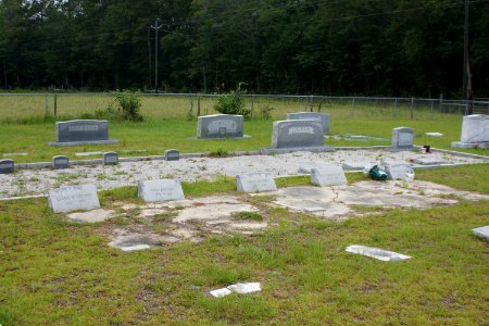Ryall Cemetery - Clyo, GA