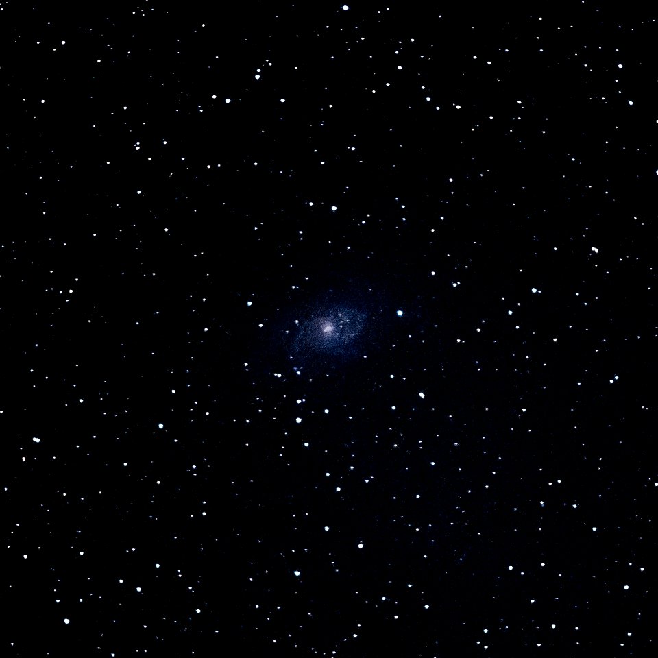 Triangulum Galaxy - M33 photo