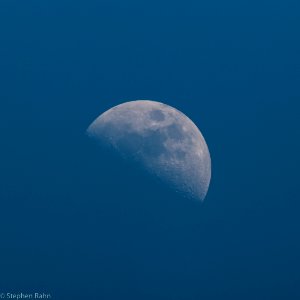 First Quarter Daytime Moon