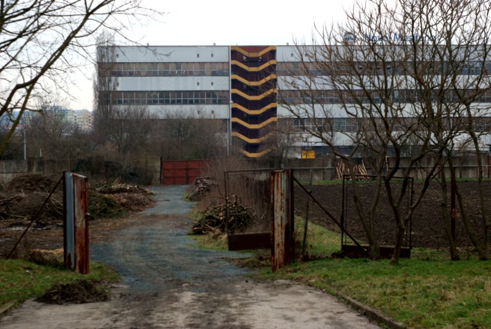 Sony Alpha A230 with Helios-44-2 - Psychiatric Hospital Garden...