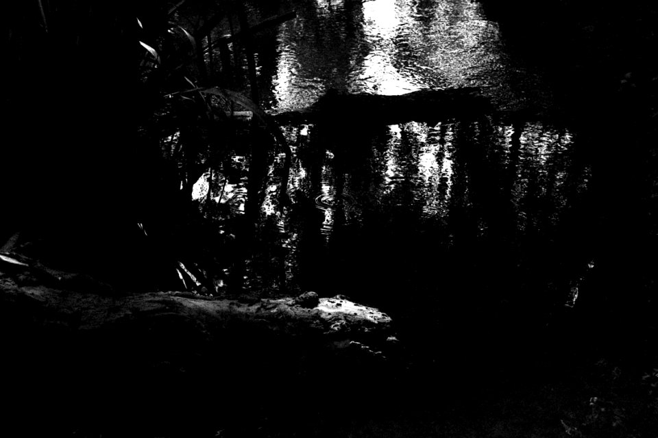 Mamiya 528TL - Artificial Stream