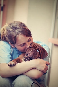 Dog girl french mastiff photo