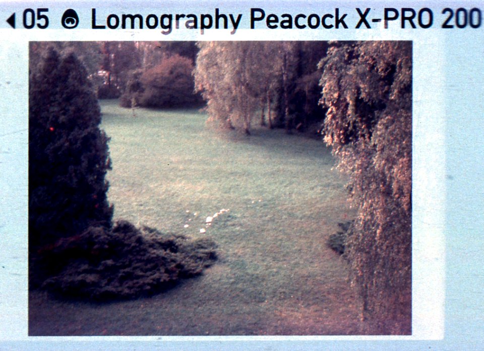 Kodak Instamatic 91 - From Psychiatric Ward Room Window 4