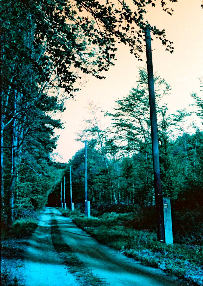 Praktica MTL 5 + Helios-44-2 - Lomography LomoChrome Purple - Path