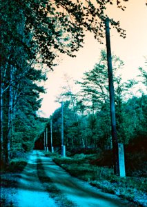Praktica MTL 5 + Helios-44-2 - Lomography LomoChrome Purple - Path