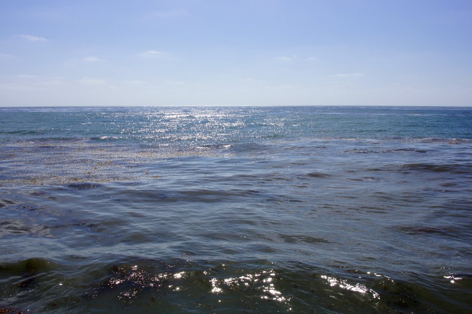 DSC07983