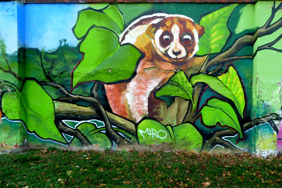 Graffiti - Little Park on Mendel's Square) 07