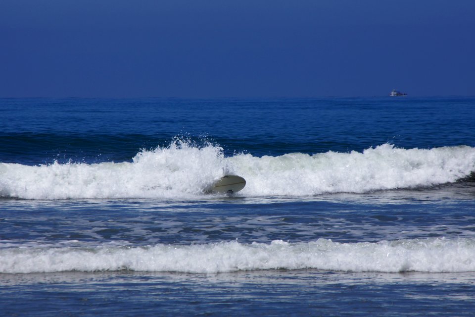 DSC08075