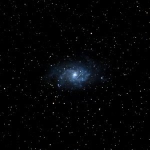 M33 - Traingulum Galaxy photo