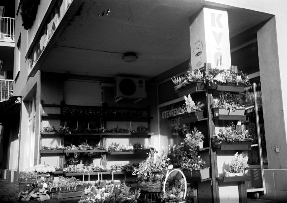 Agfa Billy Record 7.7  - Florist's shop