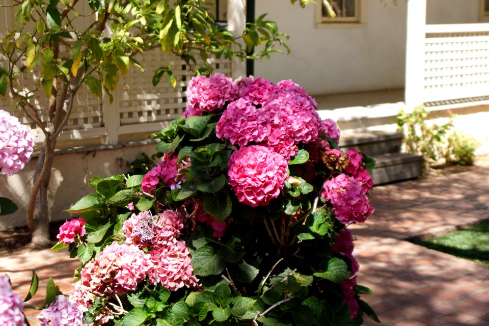 DSC07819