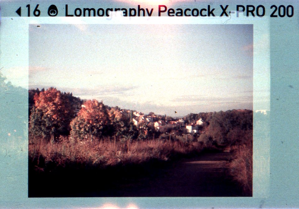 Kodak Instamatic 91 - Path Through a Brownfield photo