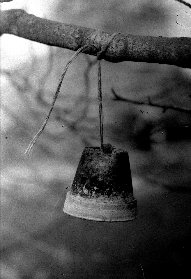 Ricoh TLS 401 with Helios 44-2 - A Pot