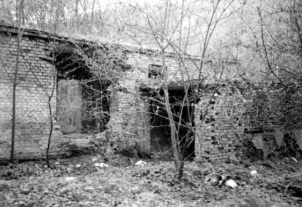 Canon Prima Zoom 80u - Ruin