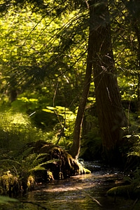 Nature water river photo