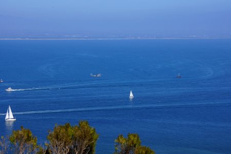 DSC07890