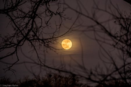 Moonrise over Macon