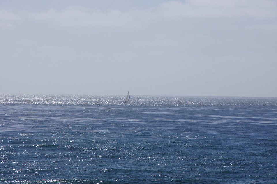 DSC08015