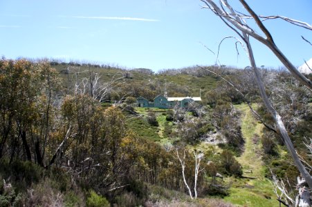 DSC02348