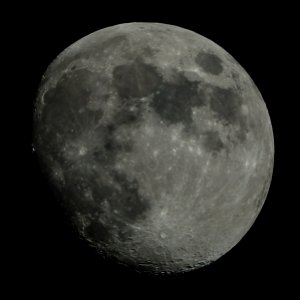 The wailing owl screams solitary to the mournful moon. - David Mallet