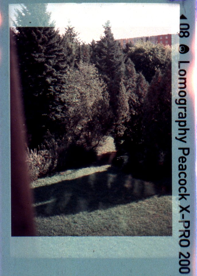 Kodak Instamatic 91 - From Psychiatric Ward Room Window 2