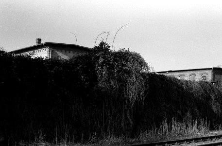 Exa + Tessar 2,8/50 - Former City Slaughterhouse at Svitava River 11 photo