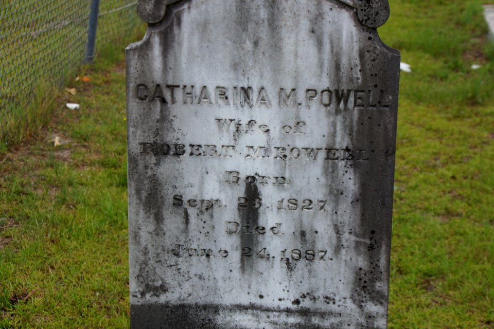 Ryall Cemetery - Clyo, GA