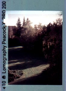 Kodak Instamatic 91 - From Psychiatric Ward Room Window 1 photo