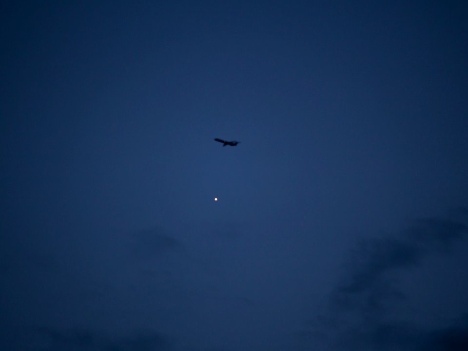 Venus Flyby