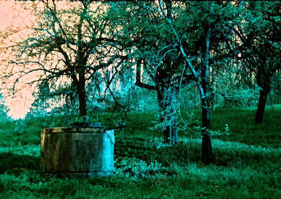 Praktica MTL 5 + MIR-1V - Lomography LomoChrome Purple - Mystic Woods 1