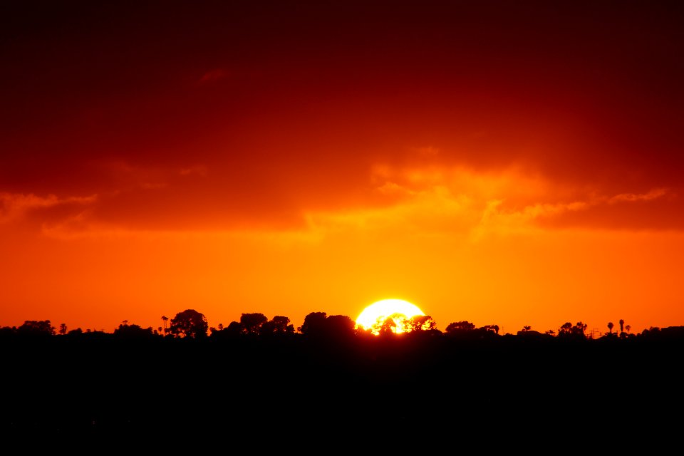 DSC07647