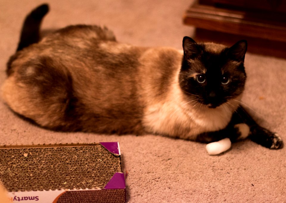 What? Me? Planning something evil? No way!