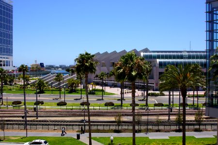 DSC07456