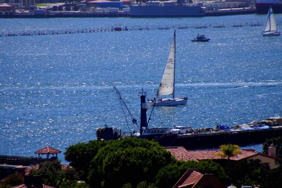 DSC07519