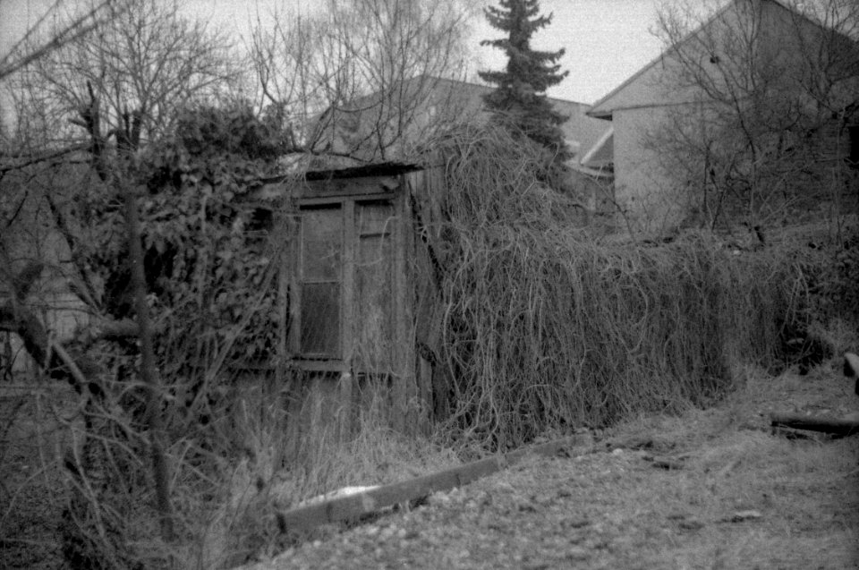Praktica BC1 - An Old Place 2