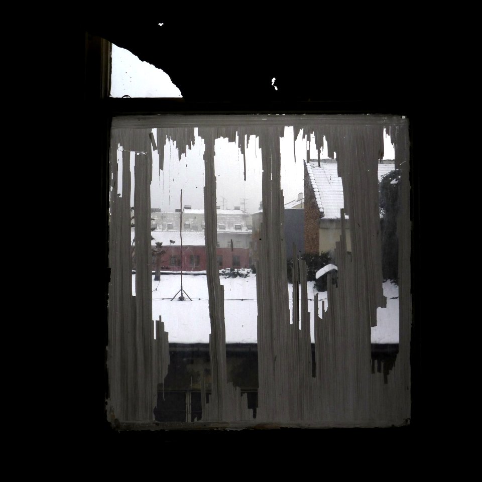 Window