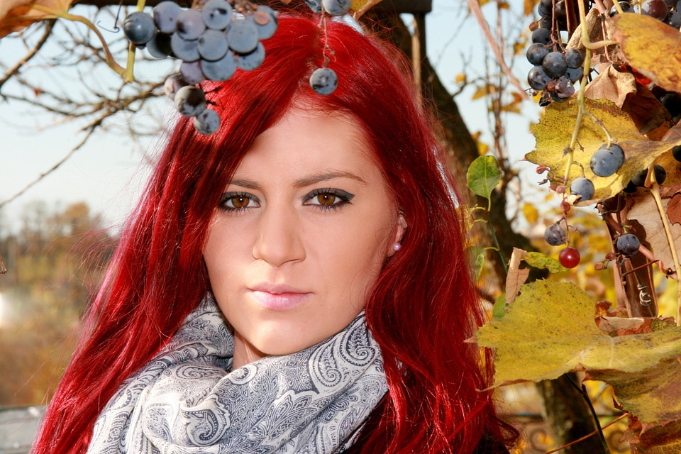 Grapes autumn beauty