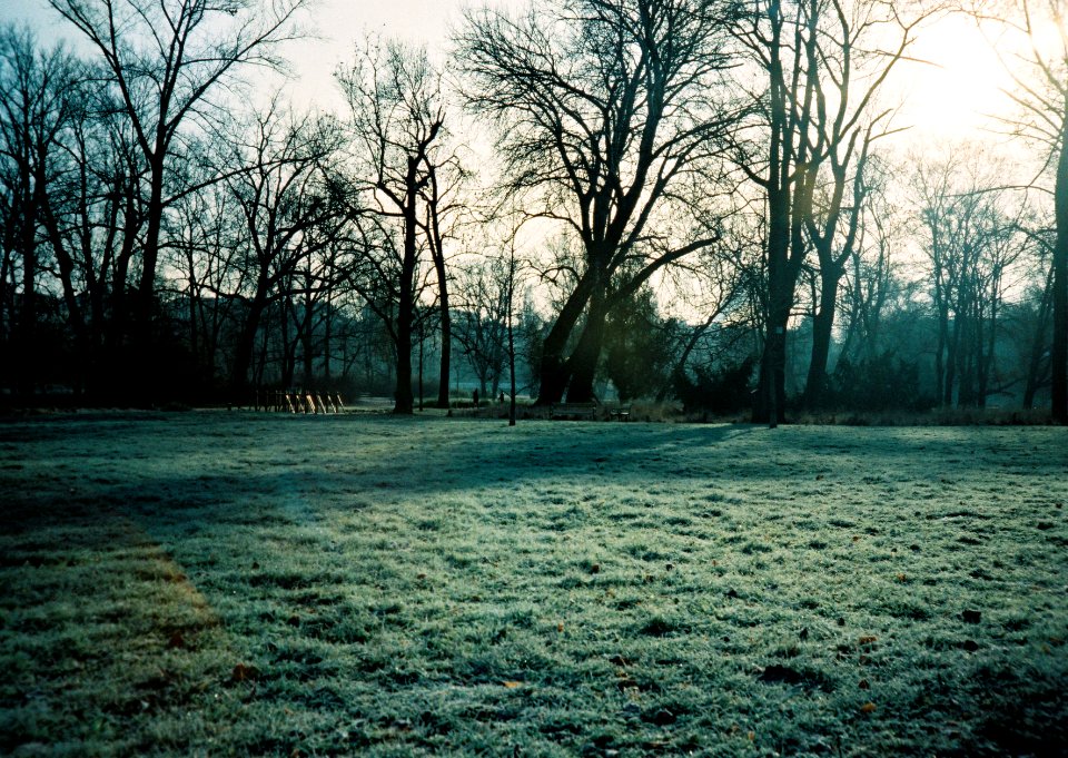 Minolta Hi-Matic G  - Morning in the Park