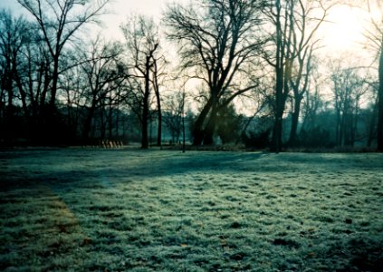 Minolta Hi-Matic G  - Morning in the Park