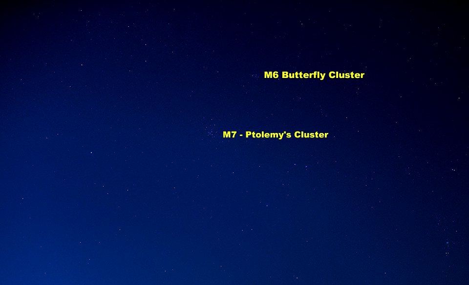 M6 and M7 Star Clusters