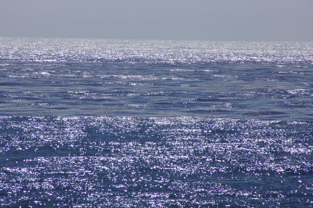DSC08017