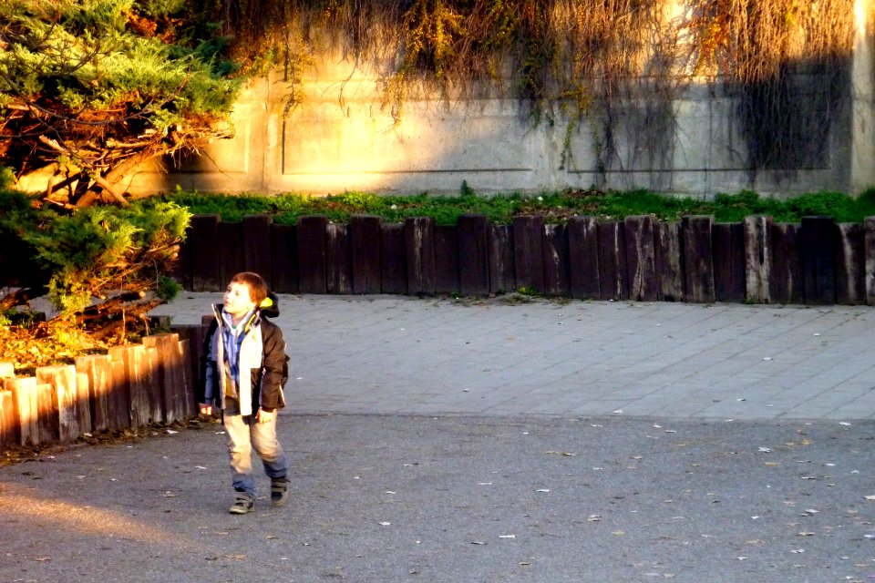 A Boy in the Light