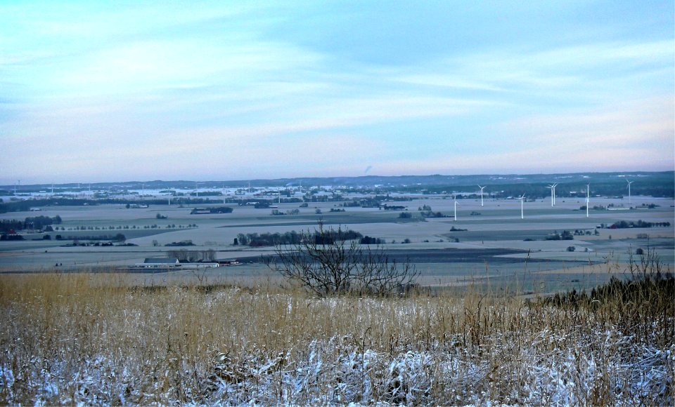 Viewpoint Omberg
